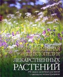 Современная энциклопедия лекарственных растений